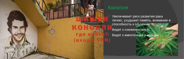 амф Протвино