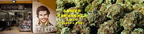 амф Протвино