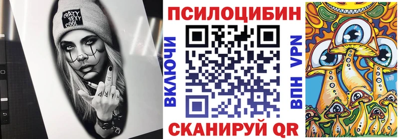 Псилоцибиновые грибы Psilocybine cubensis Ивантеевка